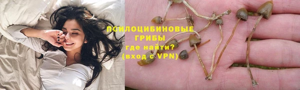 apvp Балабаново