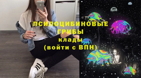 дмт Билибино
